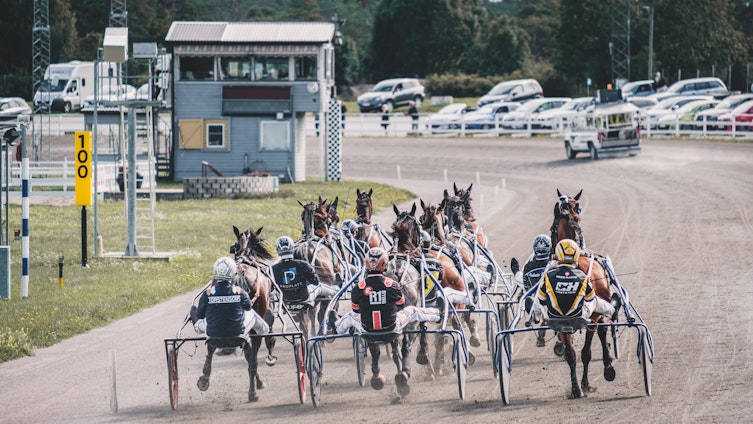 Travtips V86 Visby: Ringmuren skakar!