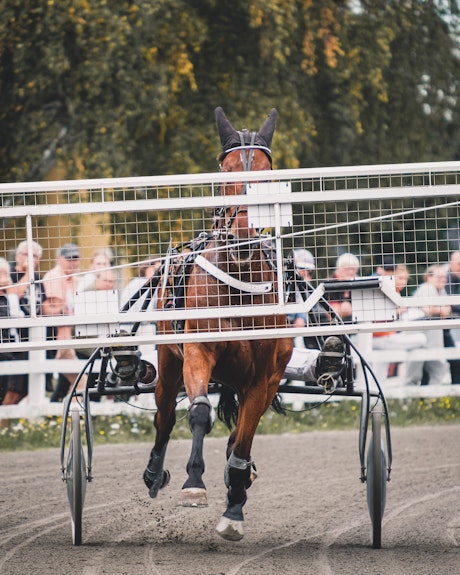 20230831 lopp 5 nr 7 DSCF0435