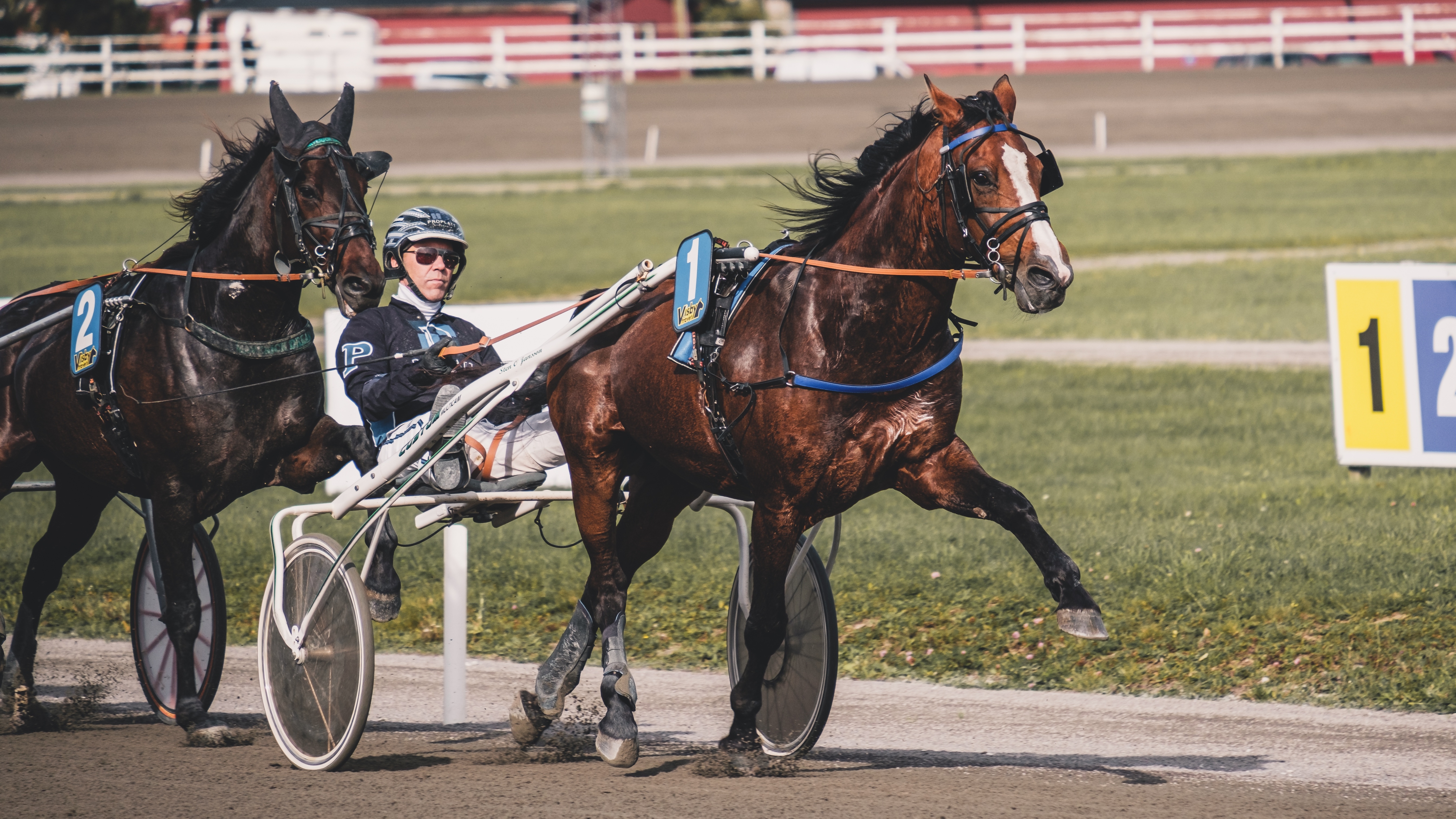 20230925 lopp 2 nr 1 DSCF1407 Cropped