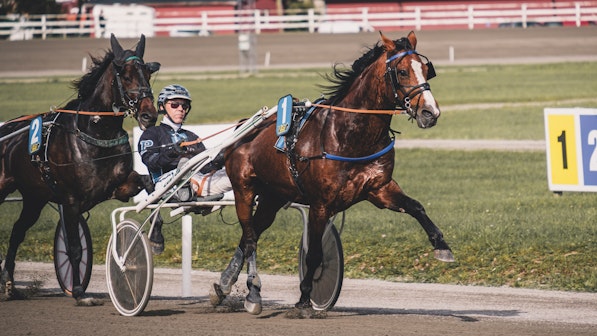 20230925 lopp 2 nr 1 DSCF1407 Cropped