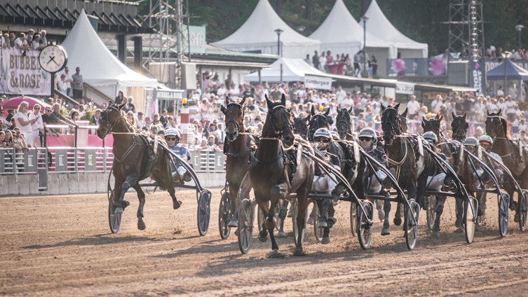 Travtips V75 Analys Axevalla - Spiken fick ett perfekt lopp i kroppen