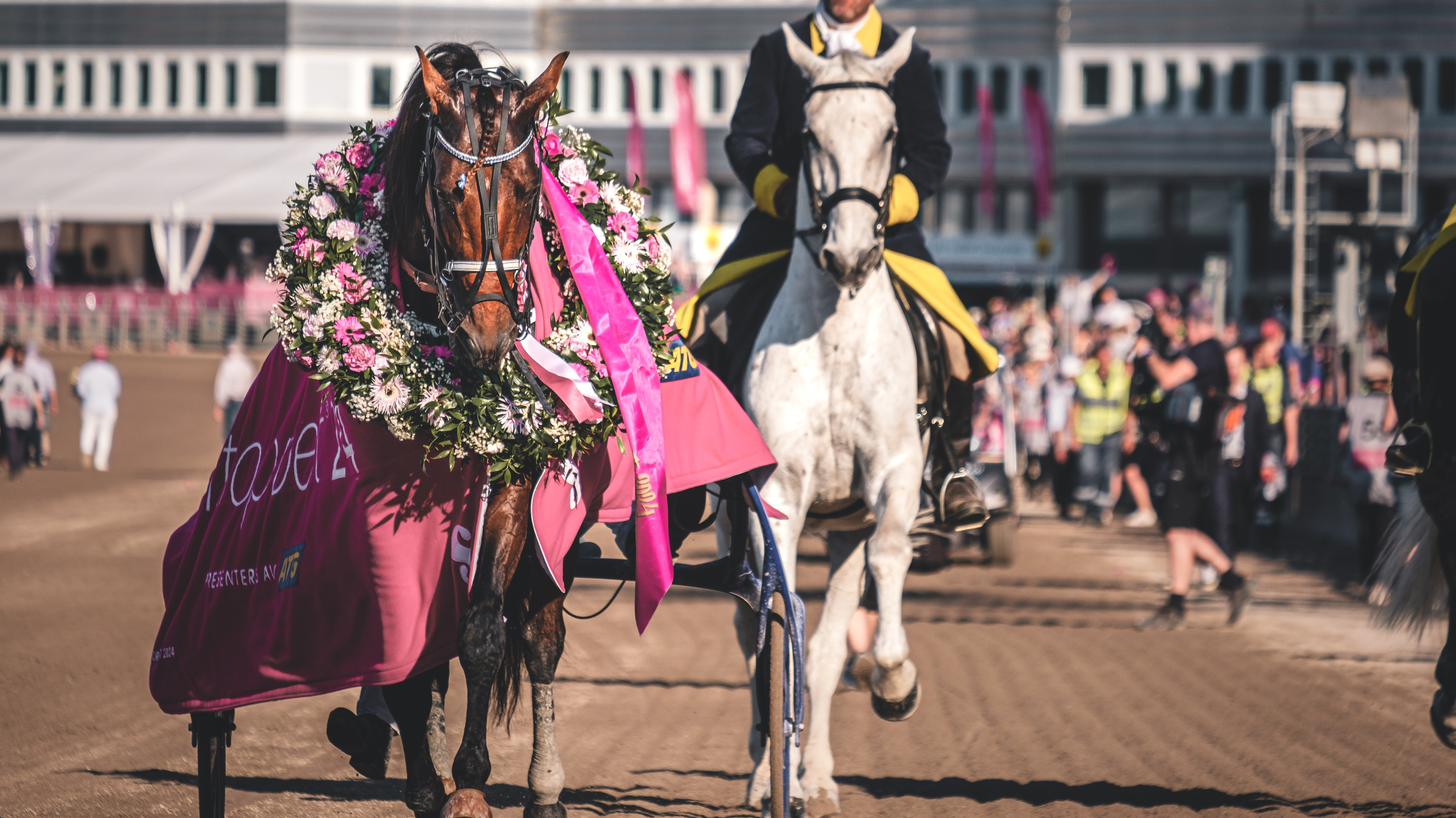 Elitloppet 2026: Dessa sköter inbjudningarna!