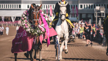 20240526 elitloppets final DSCF8069 Cropped