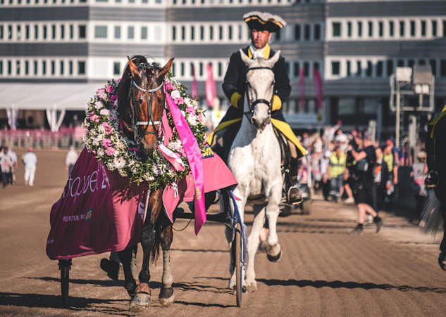 Horsy Dream elitloppet