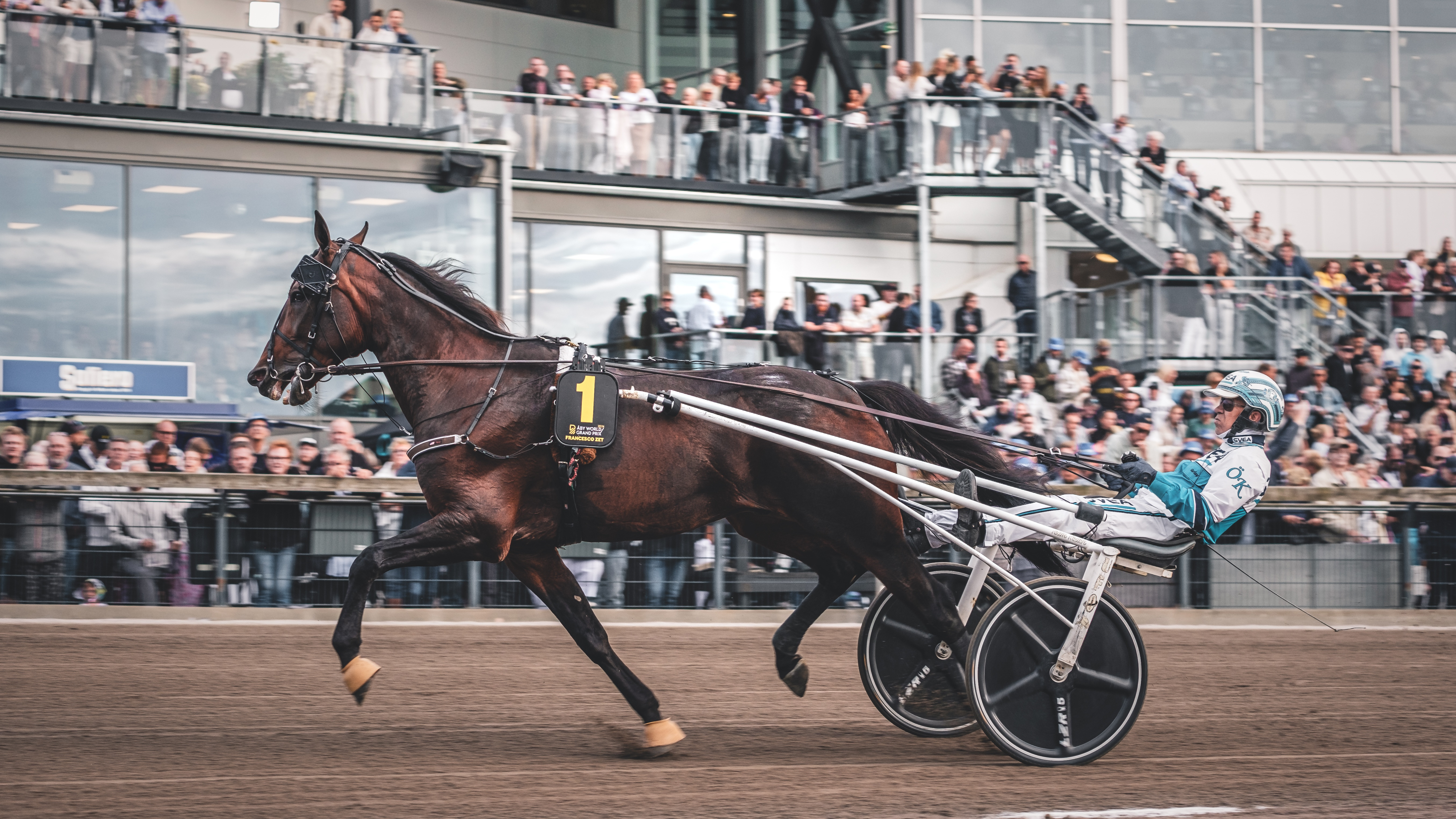 Travtips V85-tips: Premiär med spik direkt