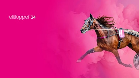 240524 Elitloppet Slapp 26 feb slider solvalla se