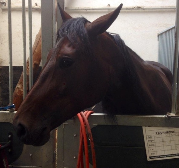 468860982 10163070549094048 4596441206342905665 n