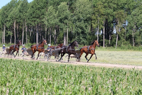 7c80b786 a1fb 4477 bed9 67c8b73acd01