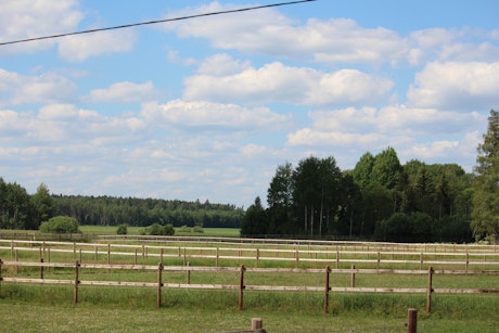 8bd90e30 cf26 4fc0 9127 d35da2058ae8