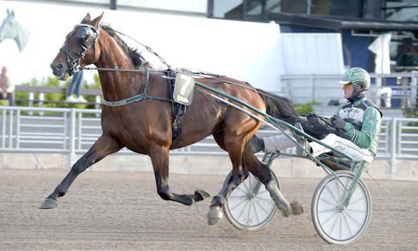 Beat Generation heat