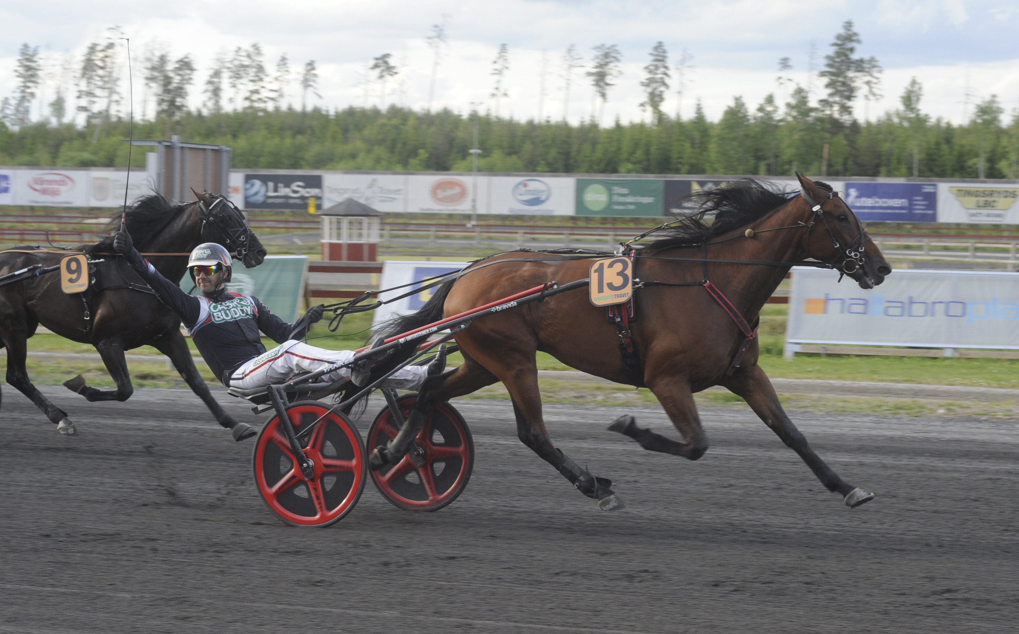 Martin Engström travtips