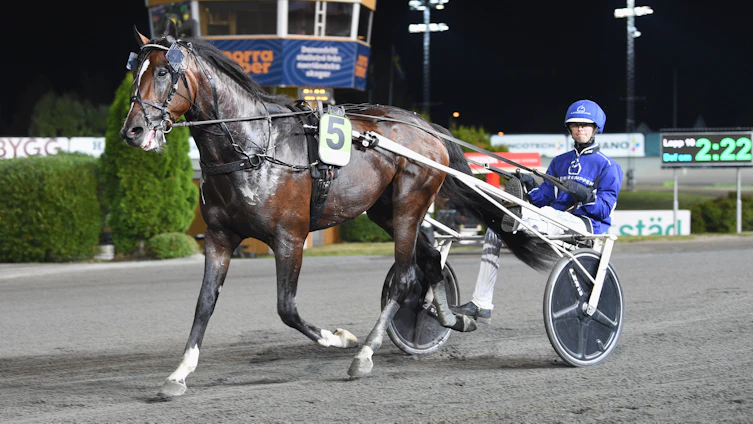 Travtips V86: Bryter av mönstret!