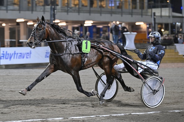 Connors Broline mal 1