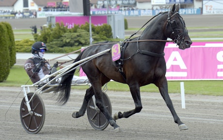 Don Fanucci Zet heat 2