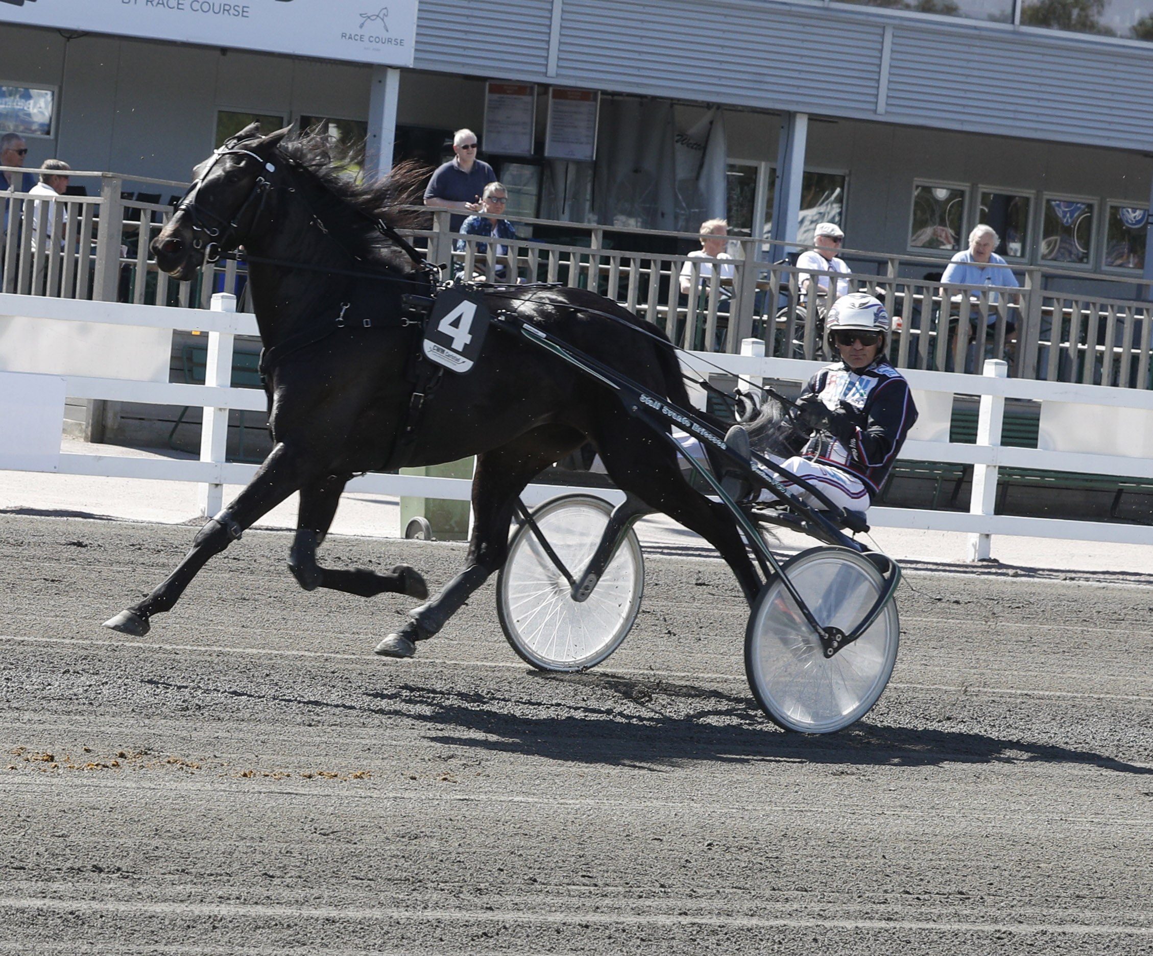 Martin Engström travtips