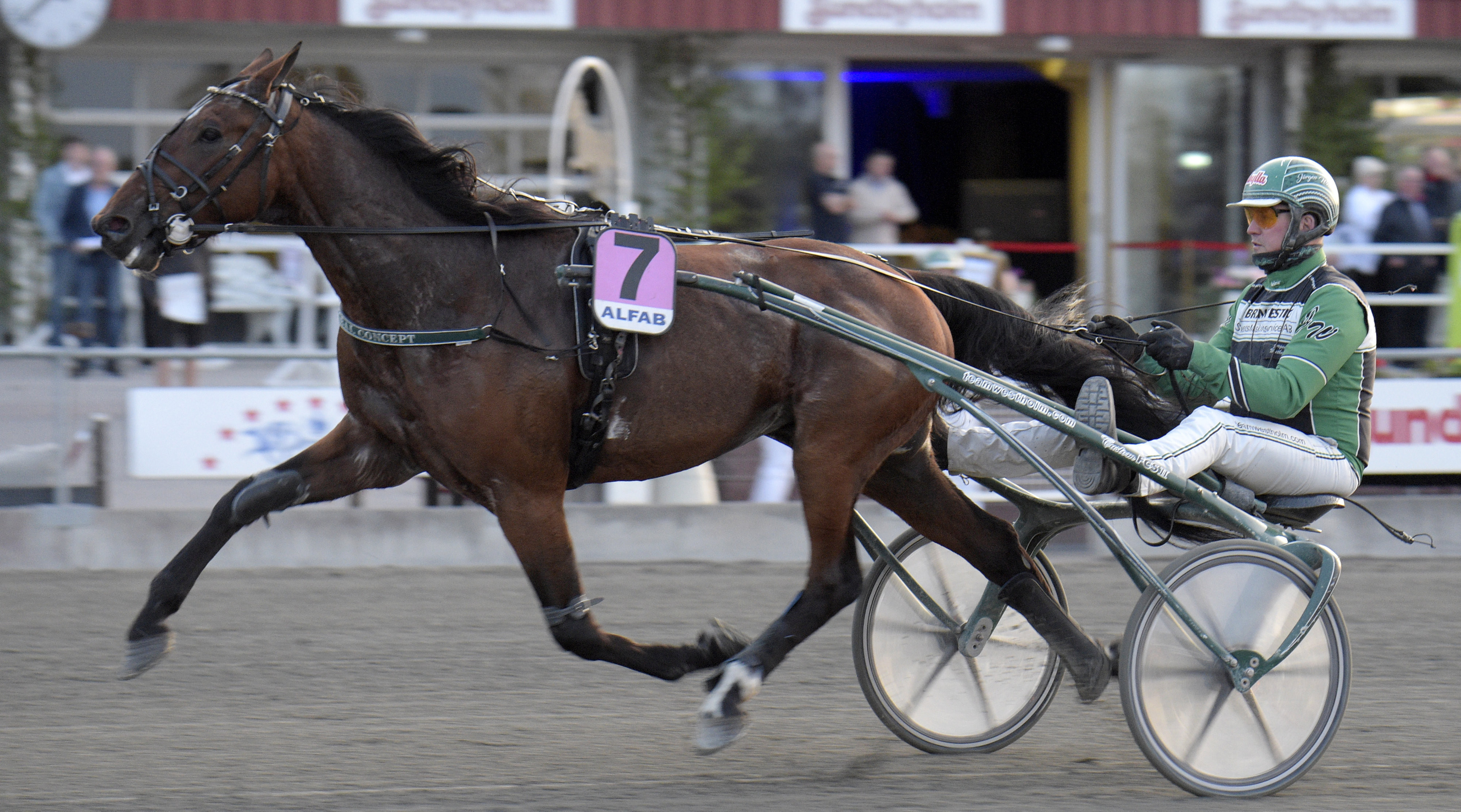 Martin Engström travtips