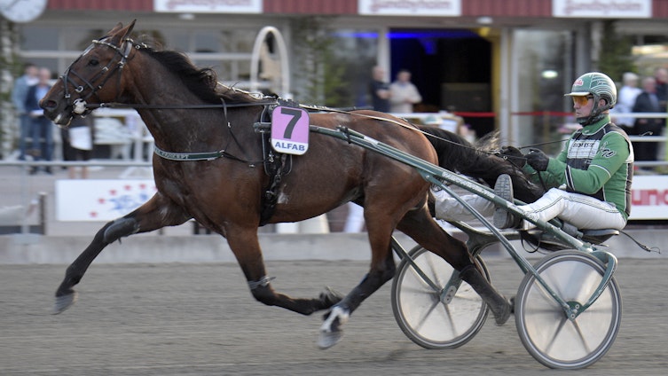 Travtips V64: Trygg spik inleder