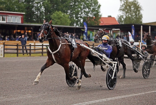 Great Time Trot mal 2