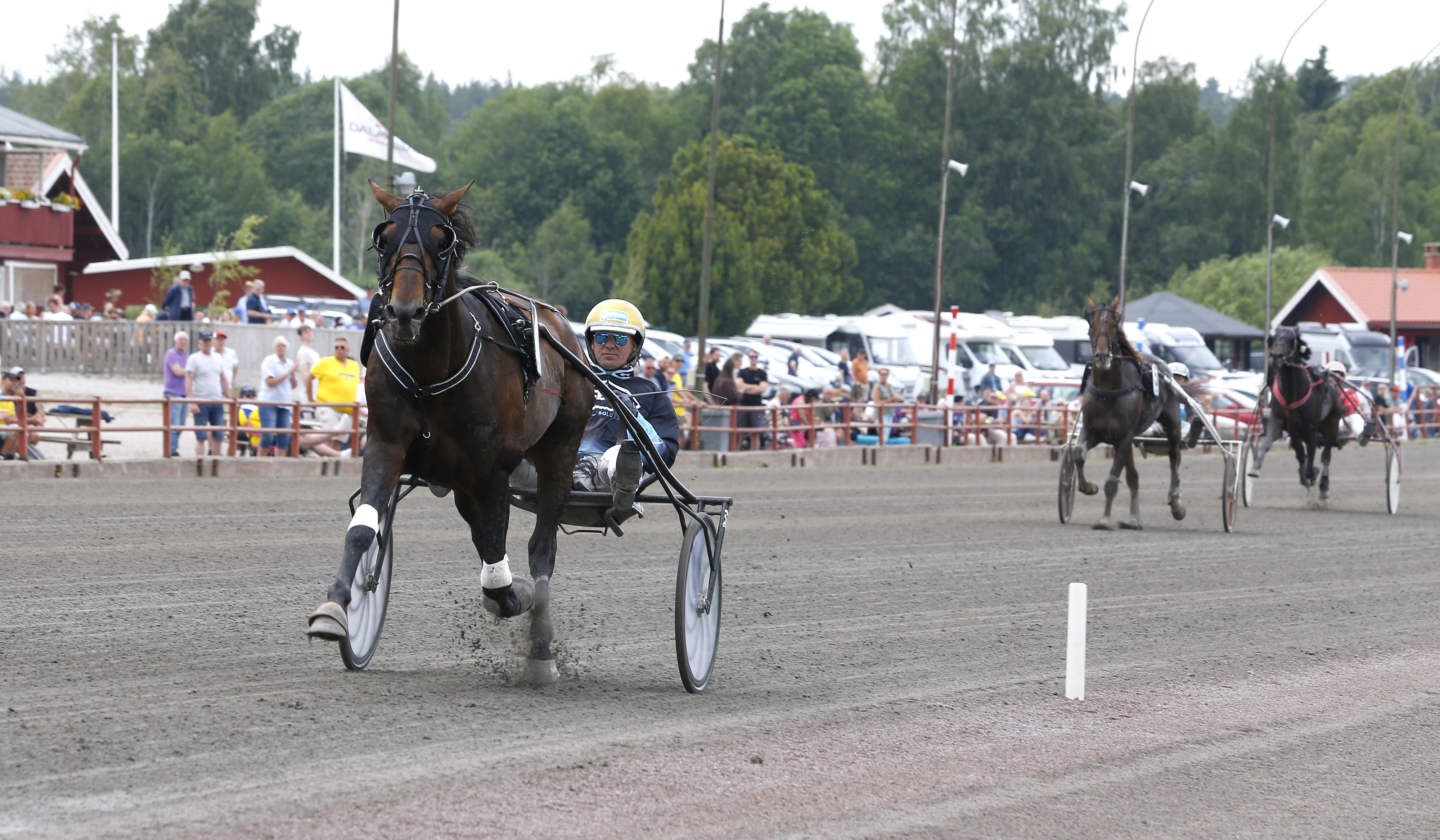 Martin Engström travtips