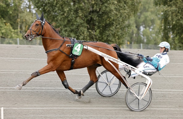 Hankypanky Pinkman heat 1