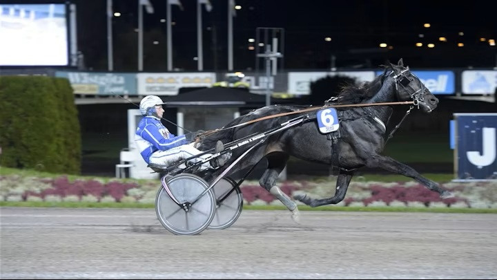 Redaktionen travtips