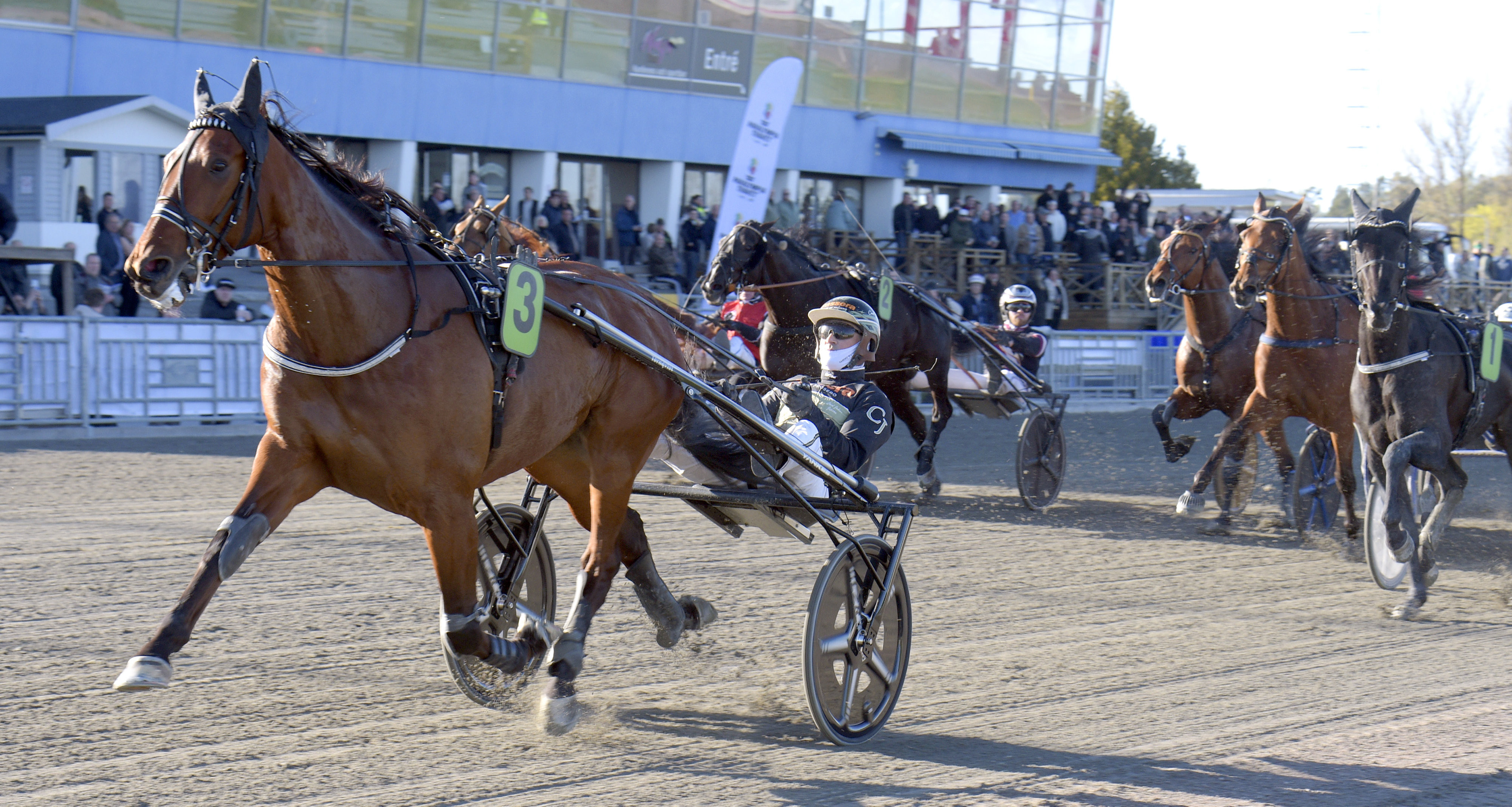 Travtips TIDIGA V85: Jackpot-lösning i jackpoten