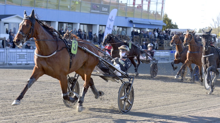 Travtips TIDIGA V85: Jackpot-lösning i jackpoten