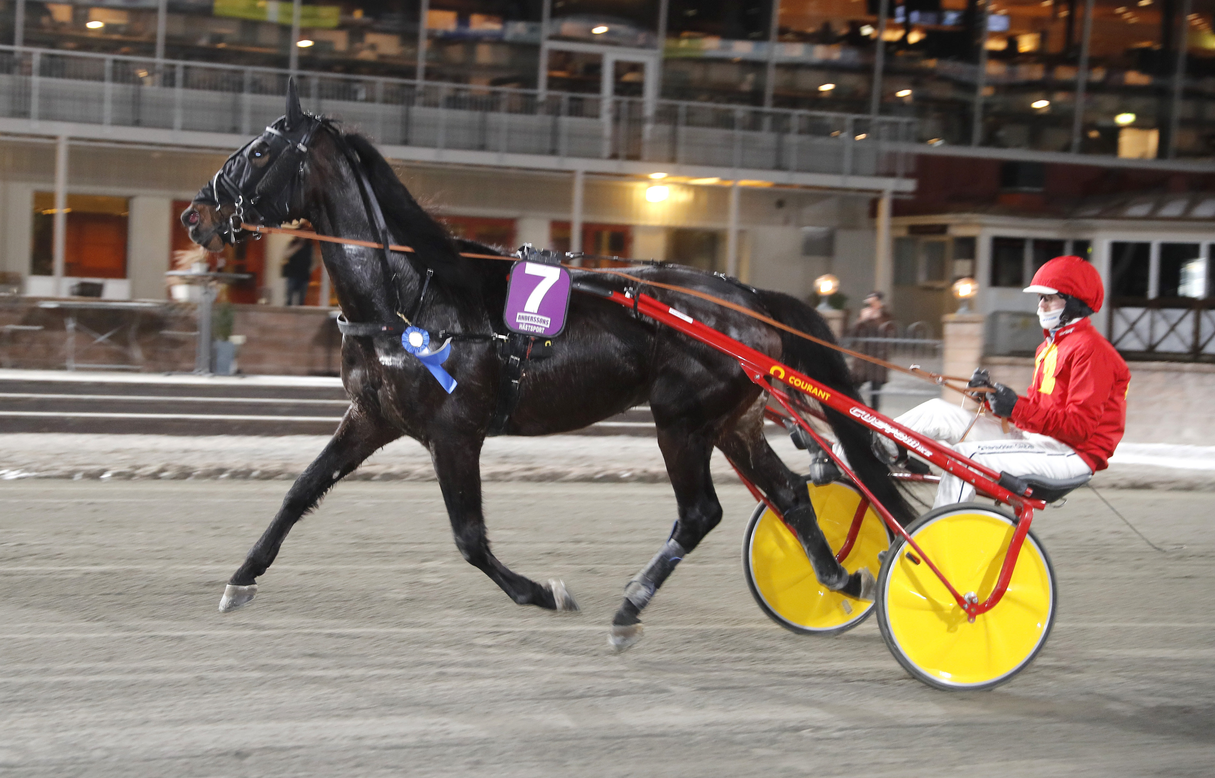 Martin Engström travtips