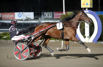 Luca Barosso heat 1