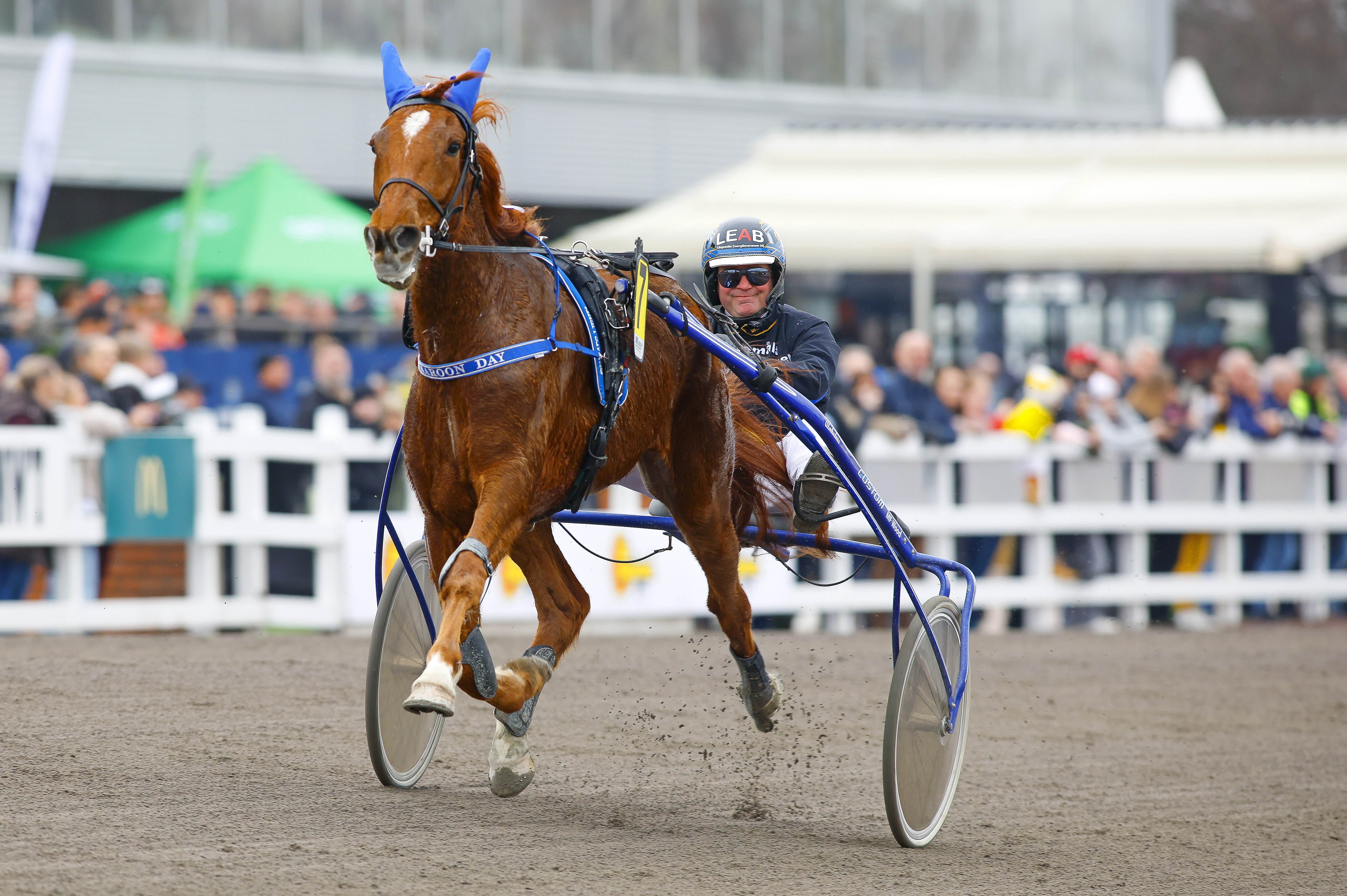 Travtips V64: Udda mix ikväll