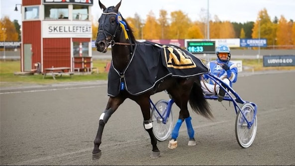 Mizai segerdefilerar