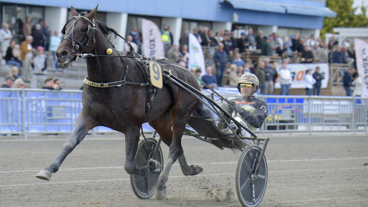 Travtips V64: Snabbkoll inför kvällen!