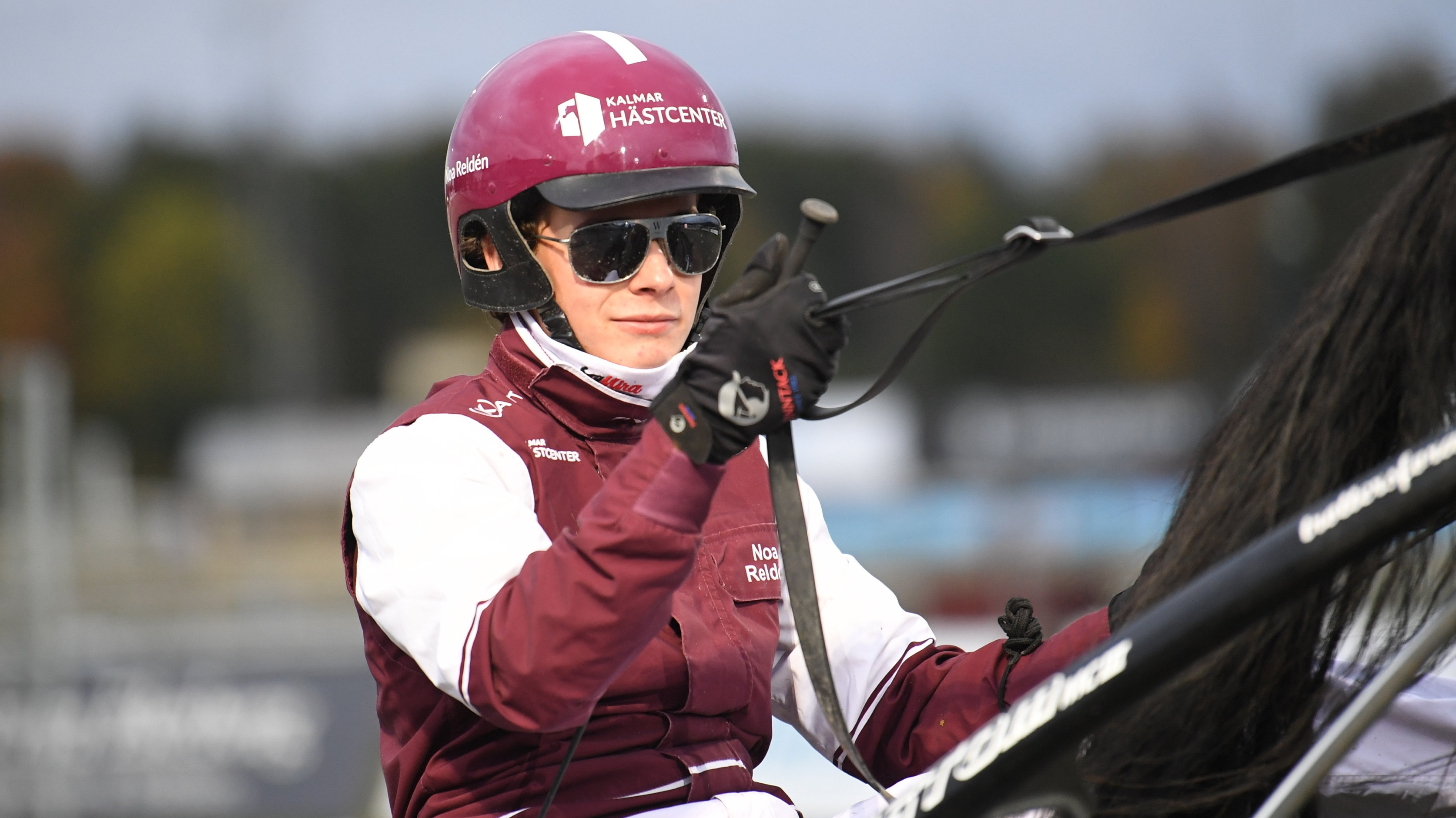 Martin Engström travtips