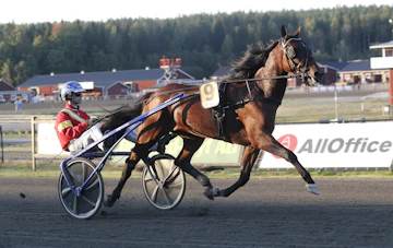 Not for Sale heat 1