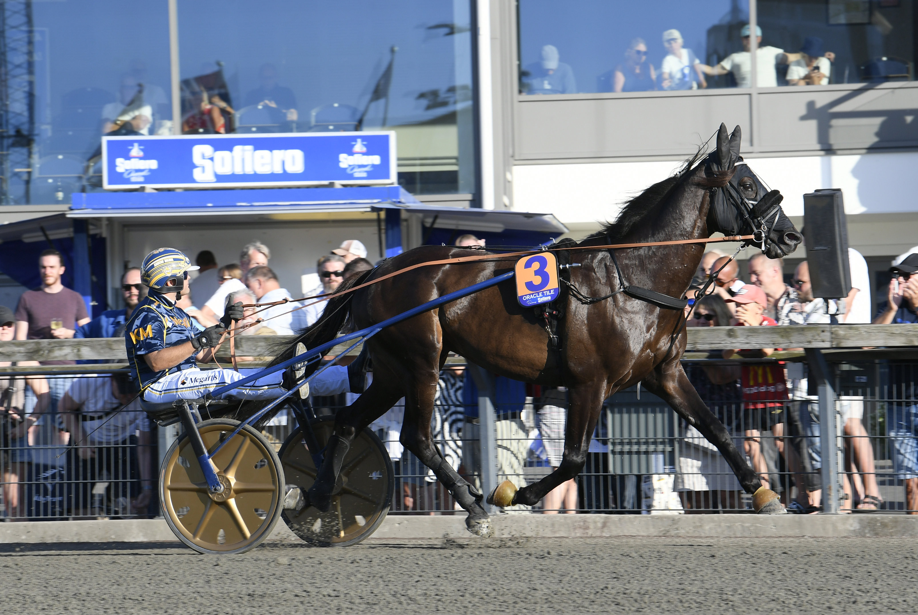 Martin Engström travtips