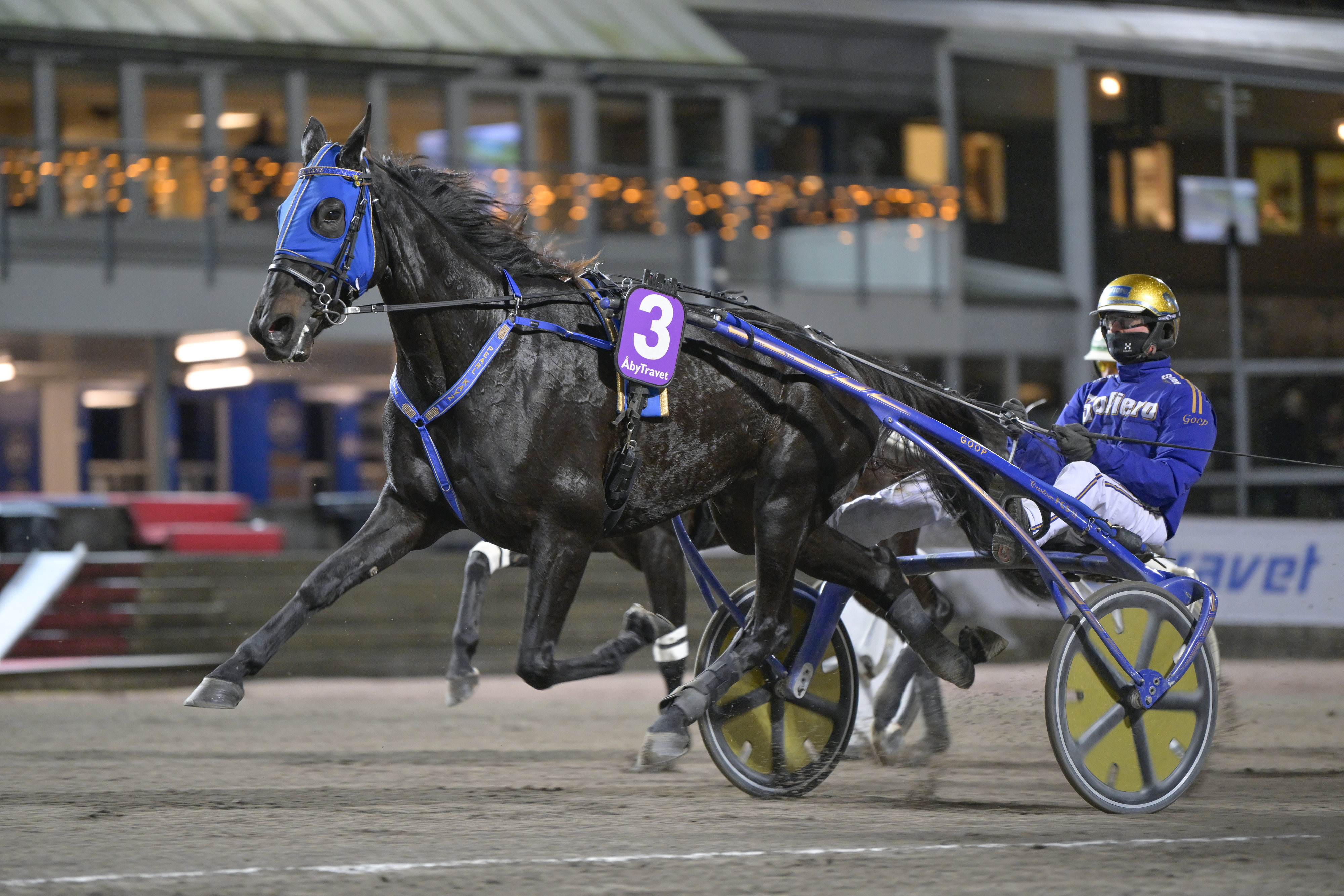 Martin Engström travtips