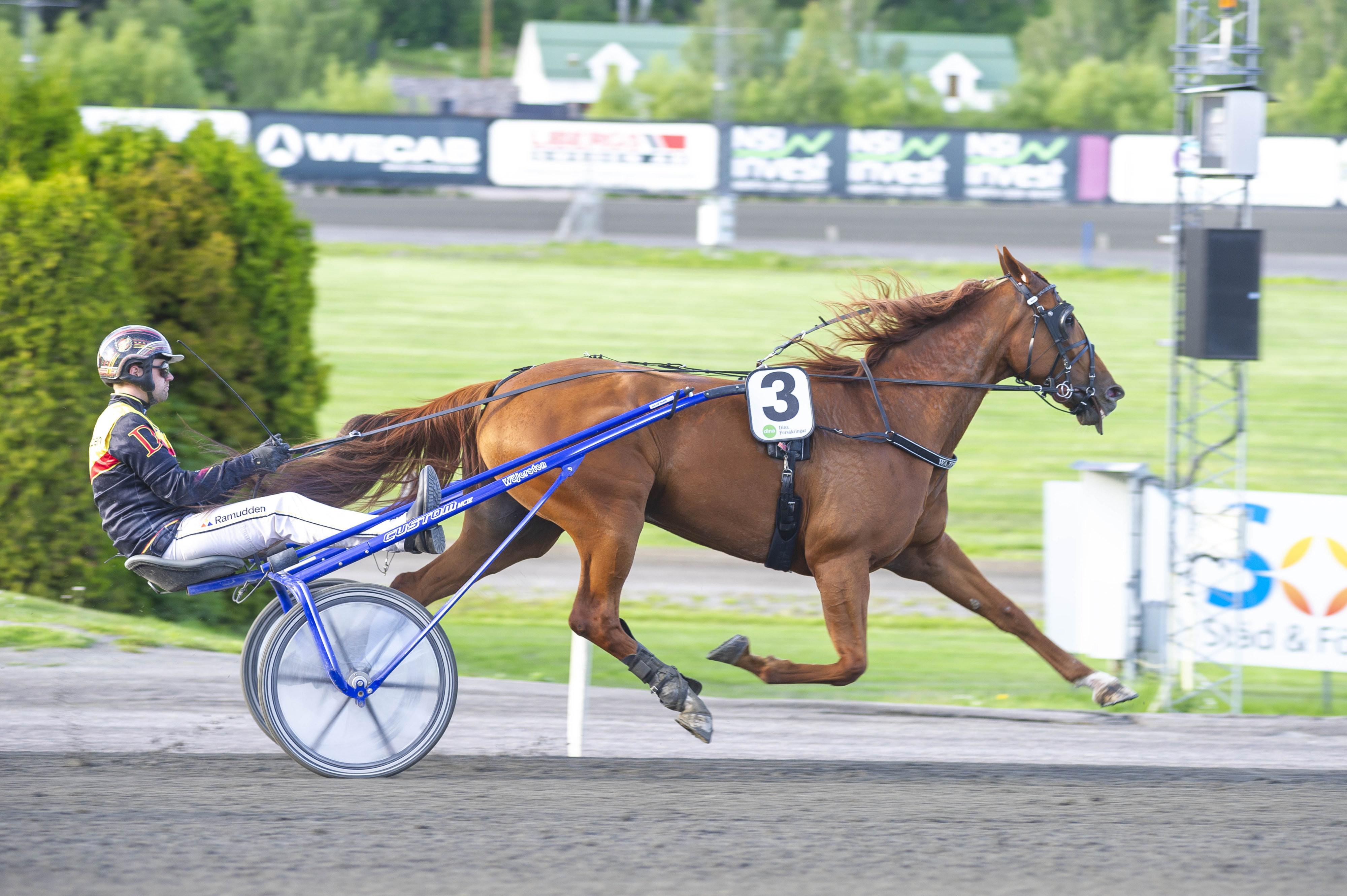 Martin Engström travtips