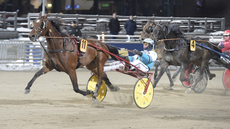 Travtips V64: Kan segerbudet utmanas!?