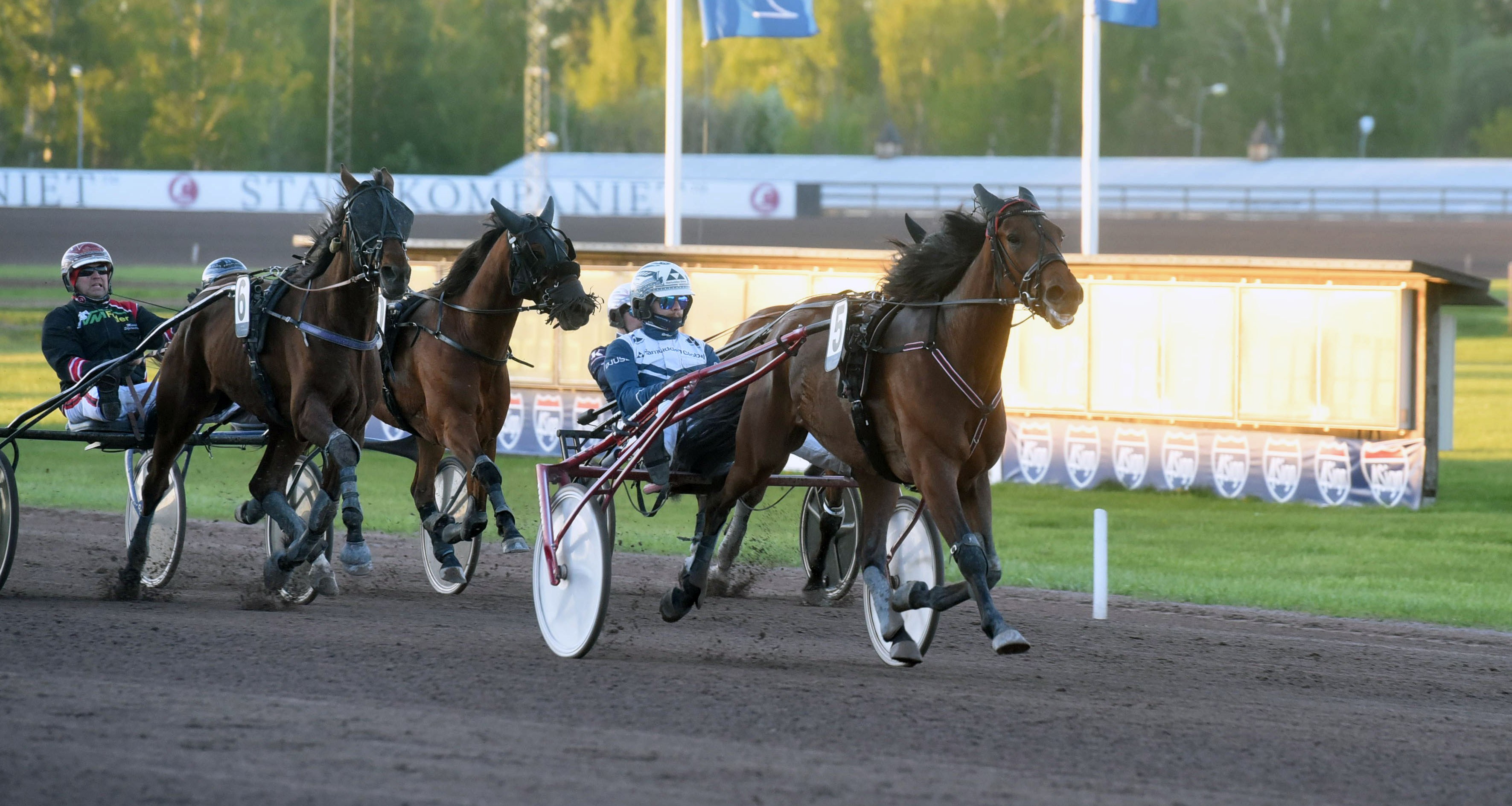 Martin Engström travtips