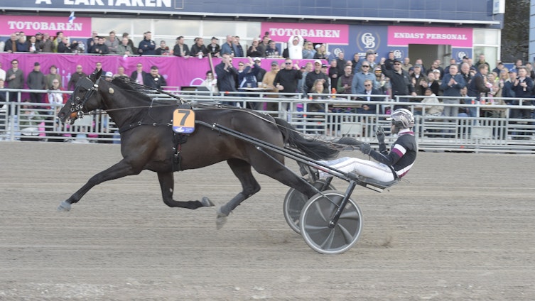 Travtips V75 Analys Jägersro - Kusken har lärt sig var gränsen går