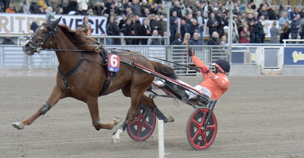 Steady Express mal 2