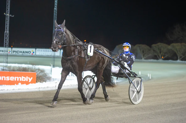Svarte Petter def