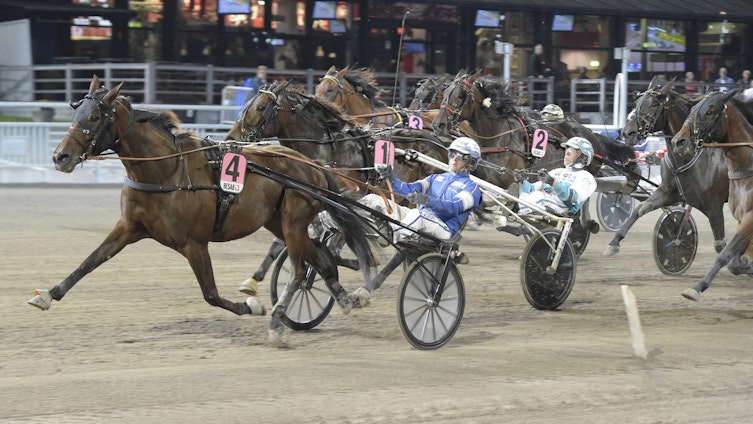 Travtips V86: Hoppas på tolv mot åttan!