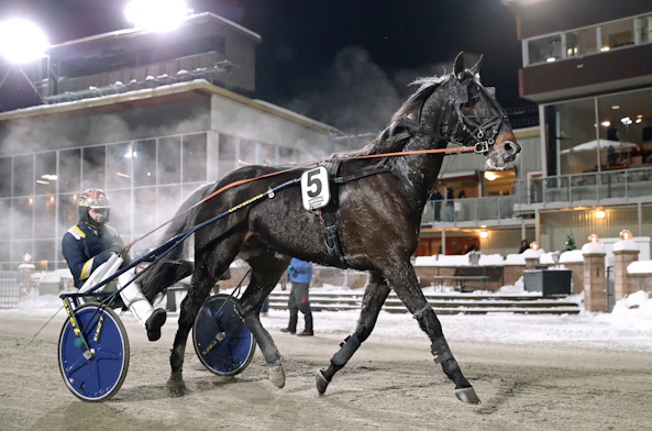 Xanthis Hilton segerdefilering