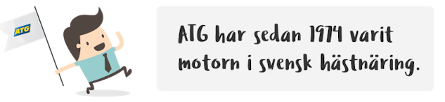 ATG trav motor hastnaring dooder