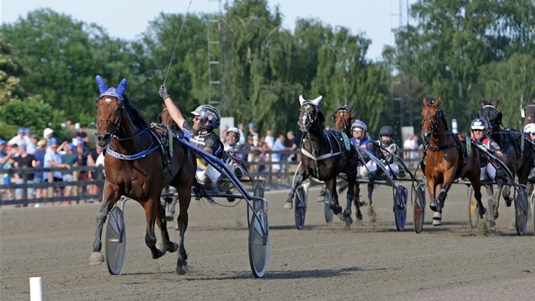 Travtips TIDIGA V85: Kalmarstjärnan är profilen