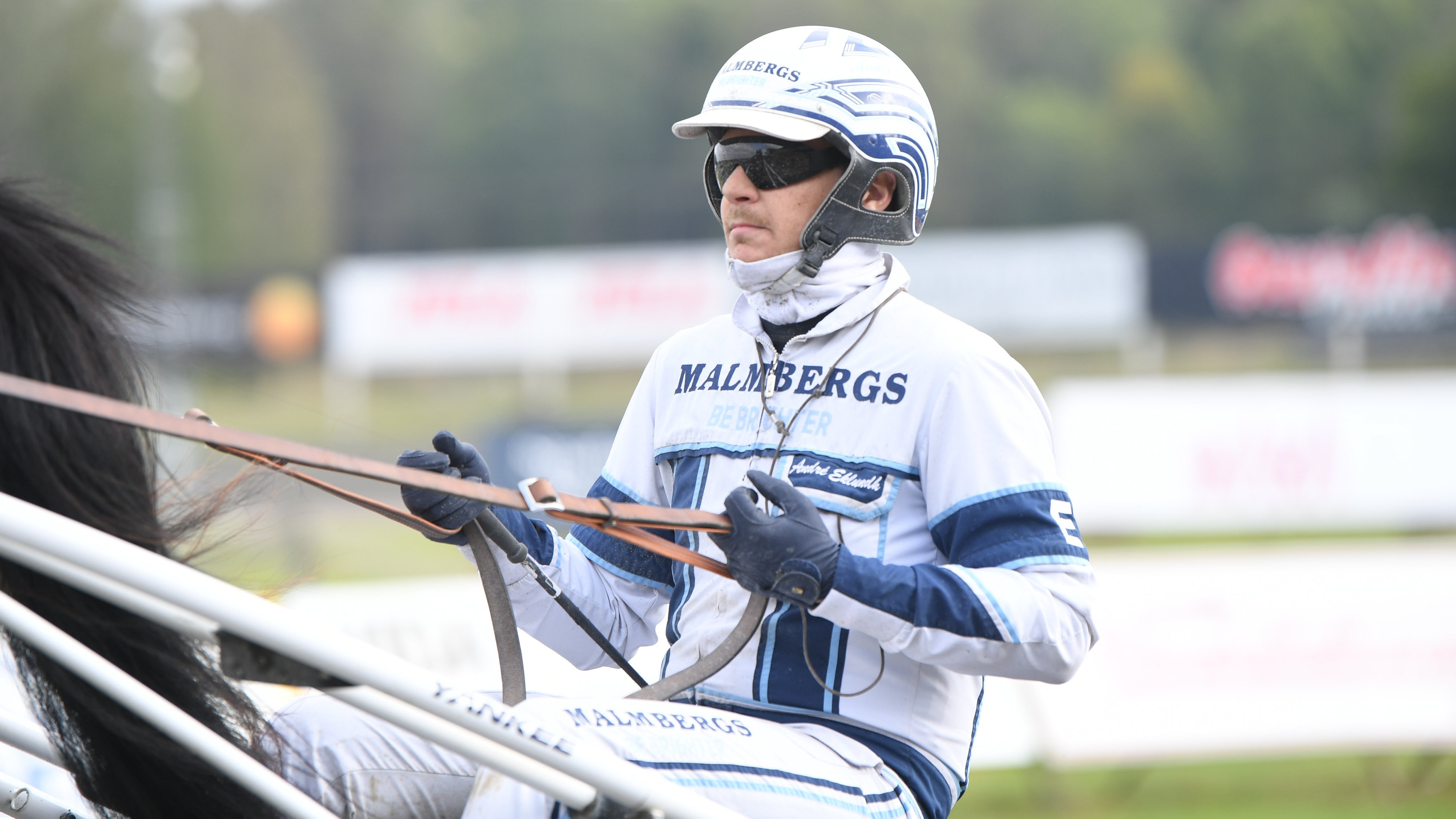 Travtips V86-tips: Pantern är bara starkast?