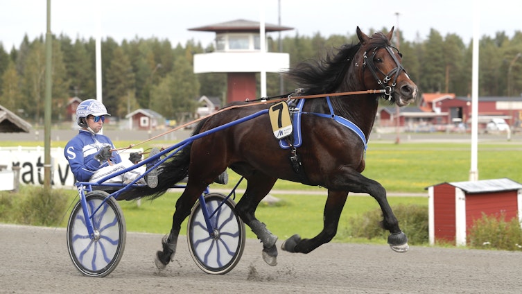 Travtips V86-tips: Jerven bara vinner