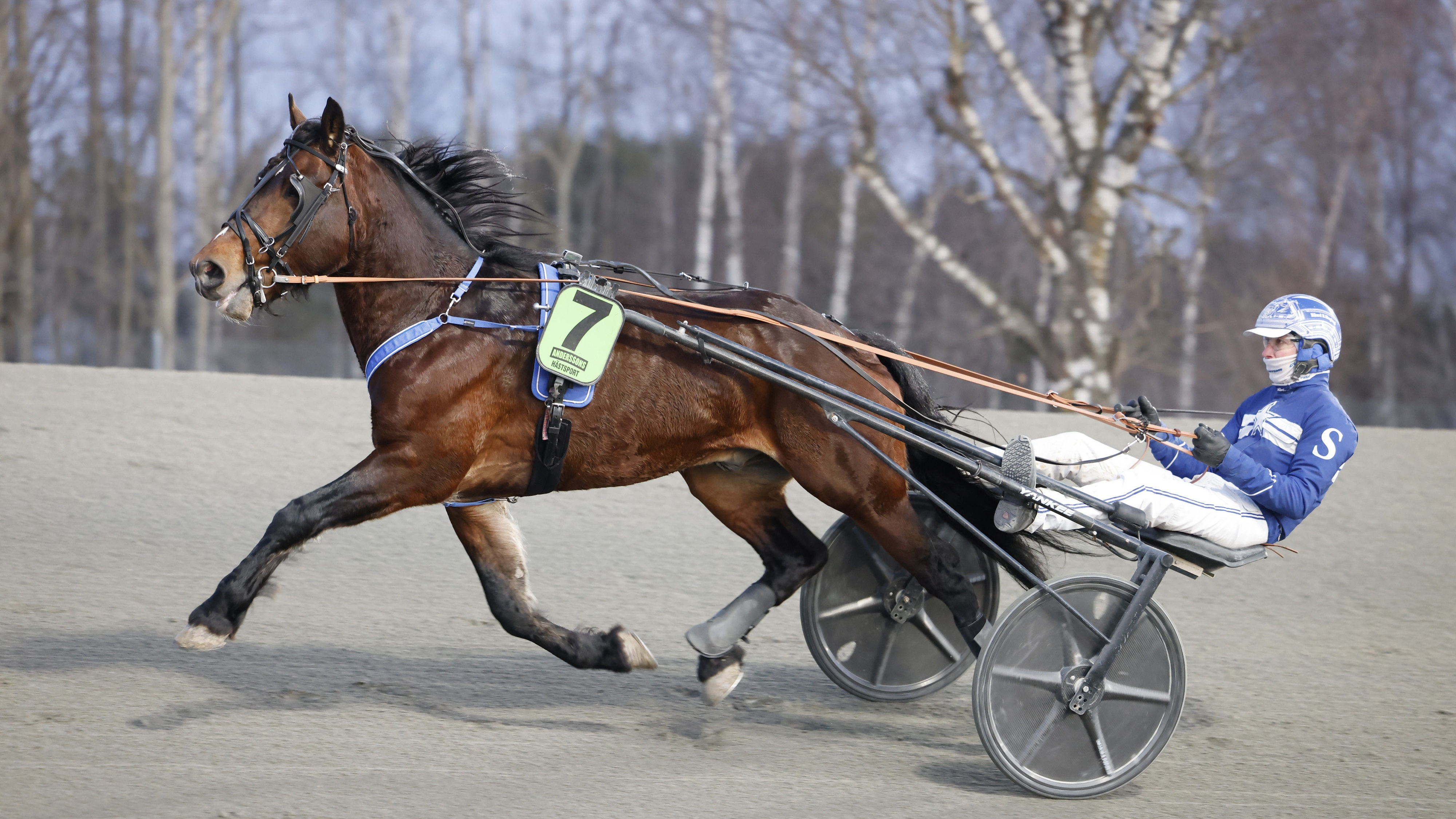 Christian Sandholm travtips