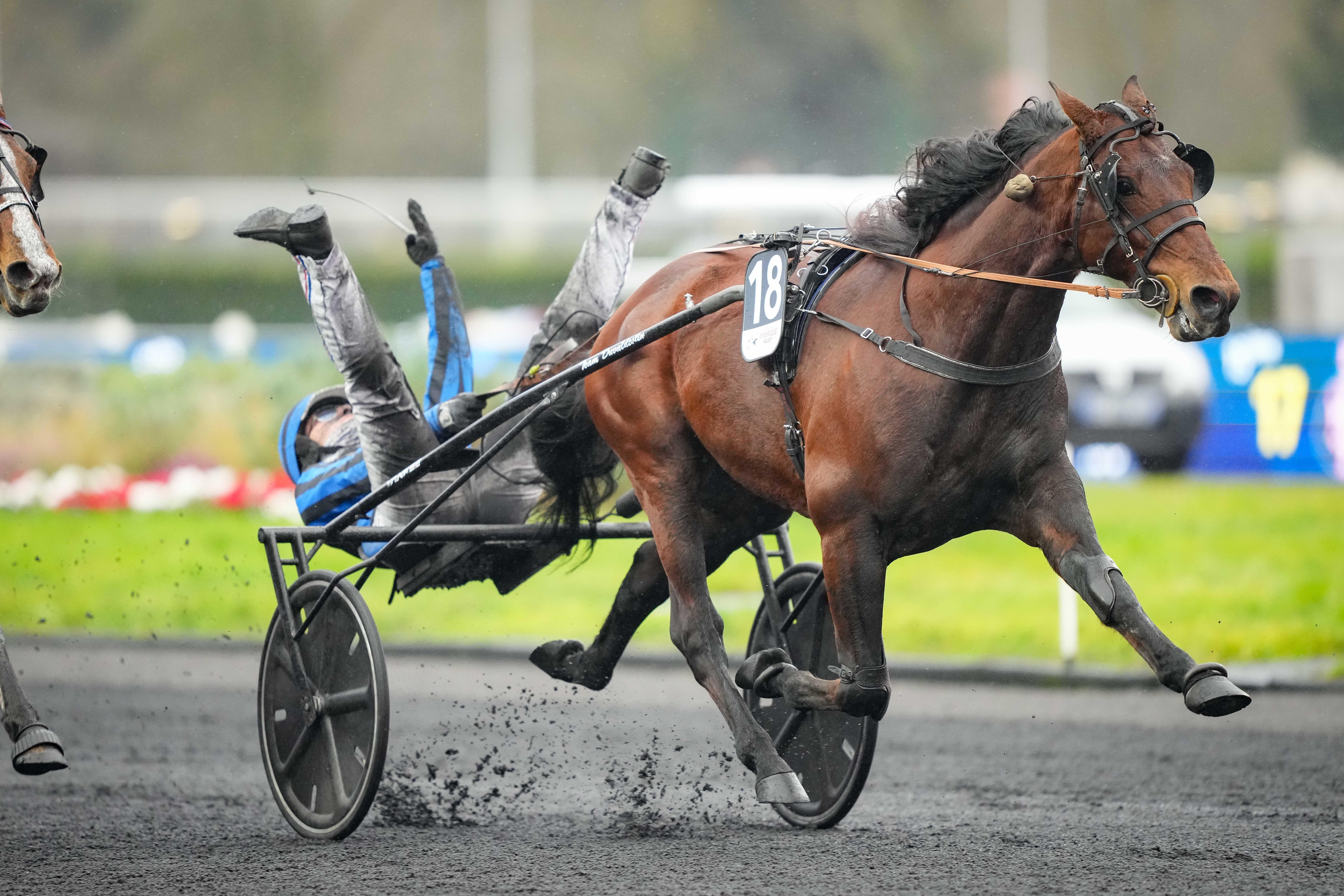 idao de tillard vincennes